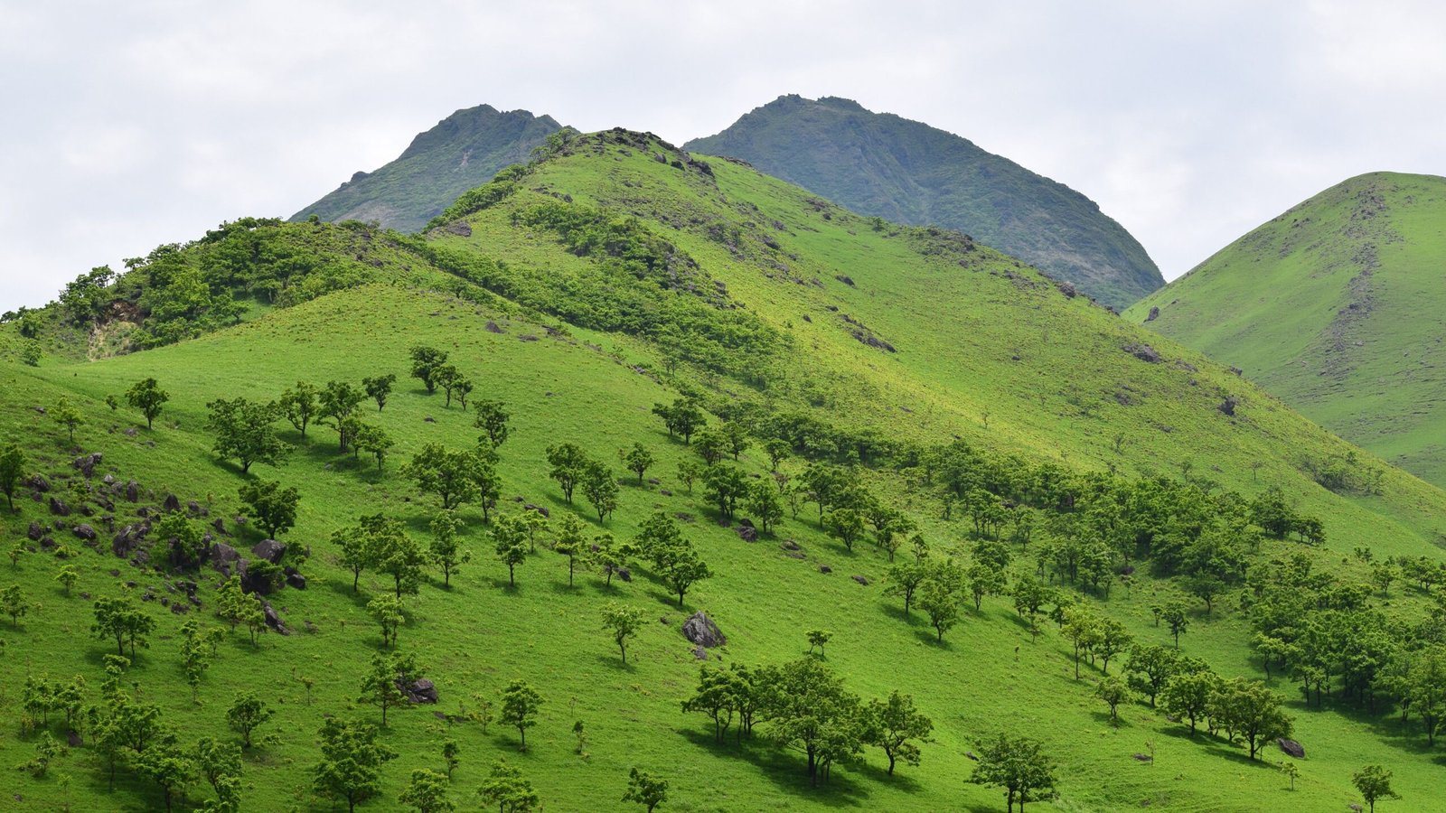 Serene green hills in Yufu City, Japan. A perfect scene for nature enthusiasts.